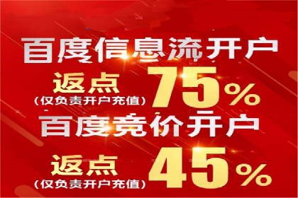 网络推广与竞价广告：双管齐下的策略案例